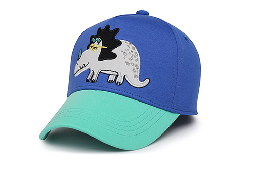 Kids Ball Cap - Dino